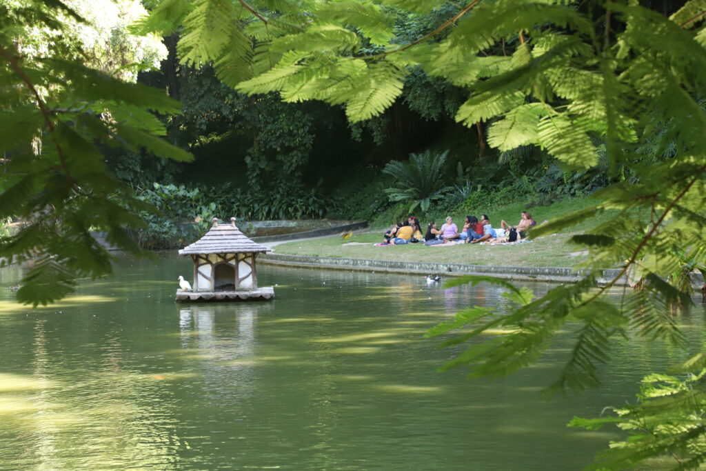 CREDITOS ALEXANDRE MACIEIRA - PREFEITURA DO RIO - PARQUE EDUARDO GUINLE (1)