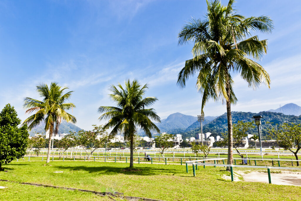 pião do prado 8